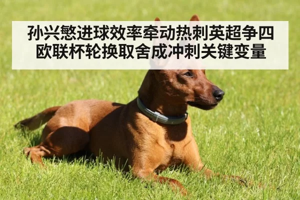 孙兴慜进球效率牵动热刺英超争四 欧联杯轮换取舍成冲刺关键变量